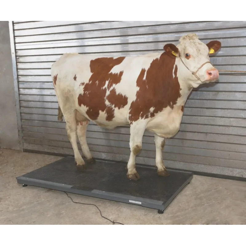 Balance pour animaux PS1000 graduation 200 g, 500 kgLa balance pour animaux PS est synonyme d’une pesée simple, confortable et précise.  Elle se distingue par son installation et son utilisation très facile et n’exige pratiquement pas d’entretien.P291310