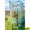 Cage de contention et de parage A8000, CésarienneCage de contention et de parage A8000, césarienne, serrage latéral, porte arrière coulissante, encolure réglable.302810