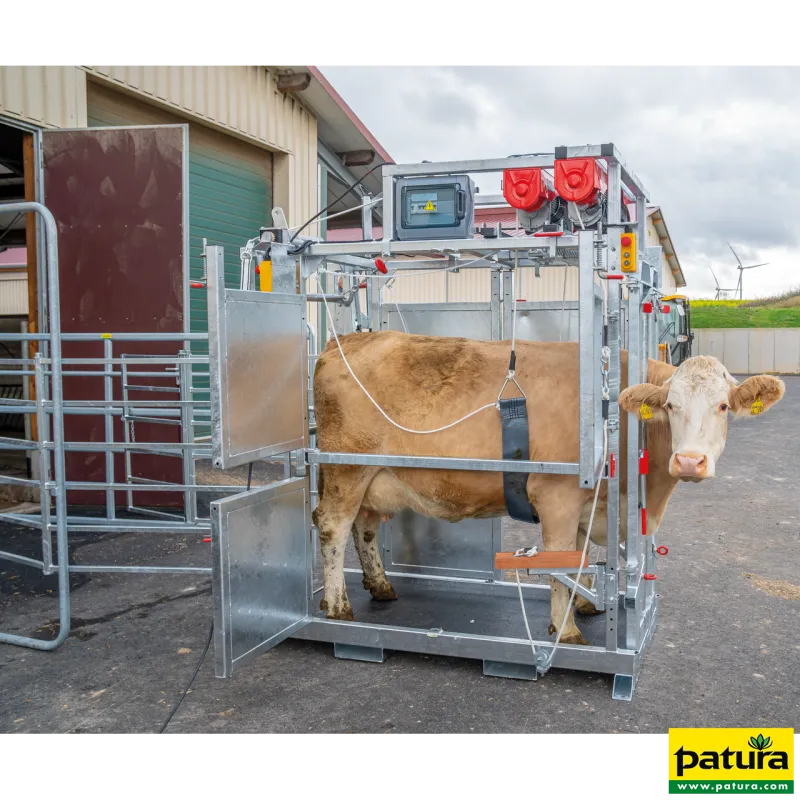Cage de parage Pro électriqueLa cage de parage électrique Pro PATURA permet un soin des onglons confortable et professionnel pour les animaux de grande taille.       L'immobilisation totale de l'animal permet un travail en toute sécurité et une manipulation rapide.310030