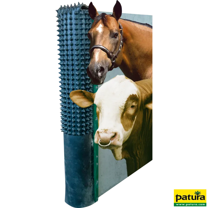 Tapis de grattageTapis de grattage avec baguettes de fixation334045