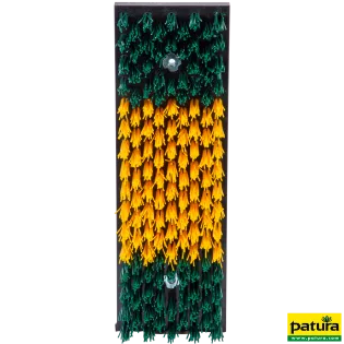 Brosse 45 x 15 cm pour la...