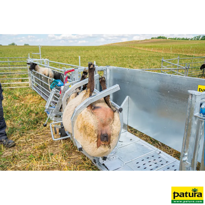 Cage de contention LCage de retournement pour moutons, modèle L, galvanisée37001