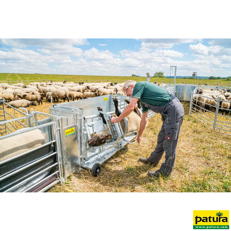 Cage de contention XLCage de retournement pour moutons, modèle XL, galvanisée37100