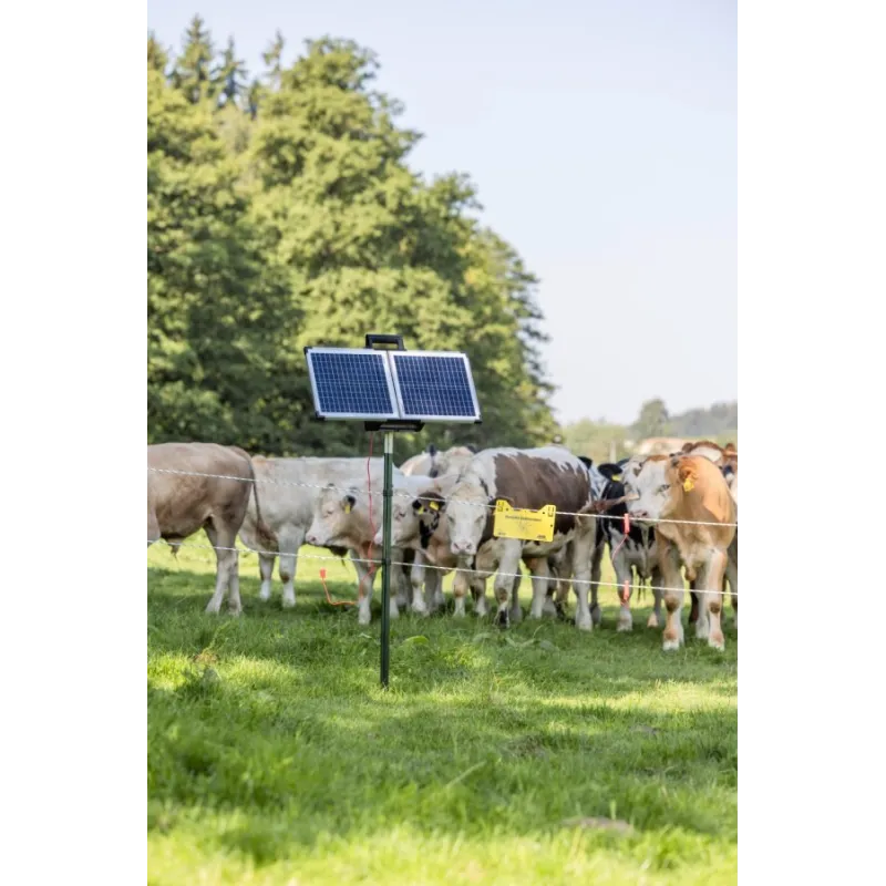 Sun Power S 2400 smart électrificateur 12 VL’AKO Duo Power X 6000 smart allie une puissance maximale à une technologie connectée. Avec une énergie de charge de 7,5 joules, une connexion au Cloud, une transmission mobile gratuite des données et une alimentation électrique flexible de 12/230 volts, il fournit une puissance maximale pour vos pâturages jusqu’à 40 km de long.La batterie 12 volts fournie et le panneau solaire de 30 watts non encore installé, associés à la gestion intelligente de la batterie et au circuit à faible consommation d’énergie, permettent un fonctionnement continu sans entretien pendant la principale saison de pâturage.La poignée de transport intégrée dans le boîtier confère souplesse et mobilité à l’appareil. 372953