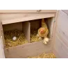 Poulailler EmmaLe poulailler Emma de Kerbl Hobbyfarming est stable et résistant aux intempéries pour l’élevage de poules.Avec une fenêtre coulissante, un pondoir et des perchoirs, son toit bitumé rabattable et sa porte latérale, il séduit par sa fonctionnalité et sa longévité.Facile à monter et parfait pour une utilisation dans le jardin.81702