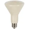 Ampoule céramique sans lumièreAmpoule infrarouge à revêtement céramique spécial225284