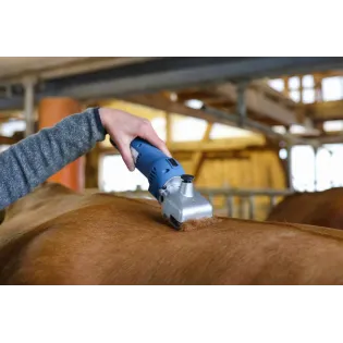 Tondeuse Clipster...