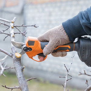 Sécateur à batterie